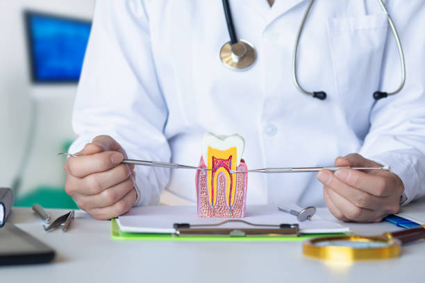 Best After-Hours Dental Trauma Care in Amberley, OH
